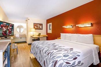 Standard Room, 1 King Bed (Smoke Free)