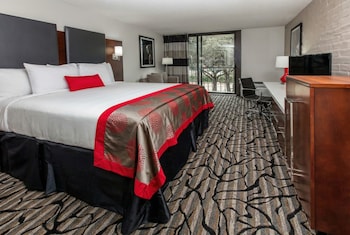 Room, 1 King Bed, Non Smoking