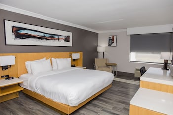 Room, 1 King Bed