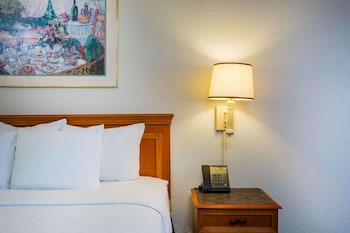 Room, 1 King Bed, Accessible, Bathtub