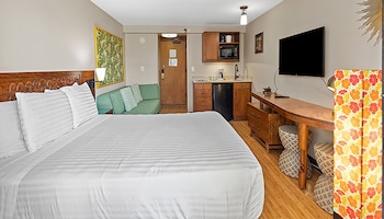 Studio, Kitchenette, City View