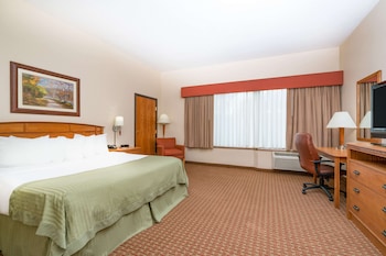 Room, 1 King Bed, Non Smoking