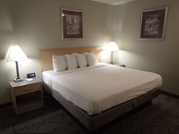 Room, 1 King Bed, Smoking