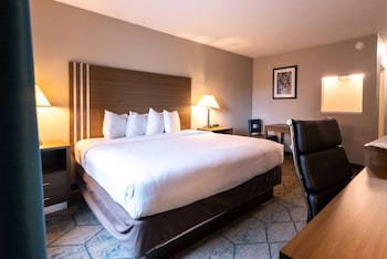 Room, 1 King Bed, Smoking