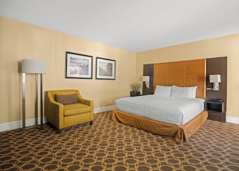 Studio Suite, 1 Queen Bed, Poolside (ADA)