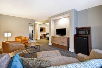 Studio, 1 King Bed with Sofa bed