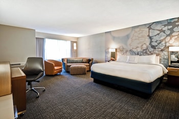 Room, 1 King Bed with Sofa bed