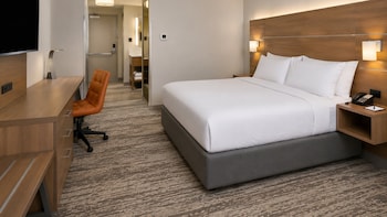 Room, 1 King Bed, Accessible (Communication, Mobil, Transfer Shower)