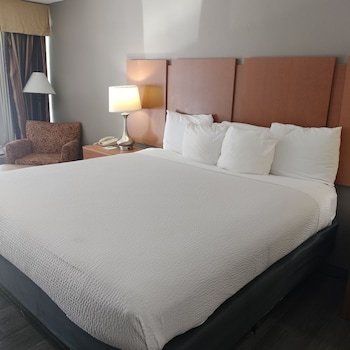Room, 1 King Bed, Non Smoking