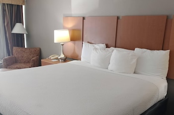 Room, 1 King Bed, Non Smoking