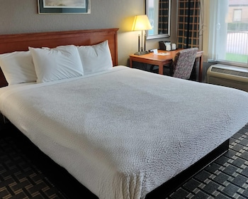 Standard Room, 1 King Bed, Non Smoking (Handicap Accessible)