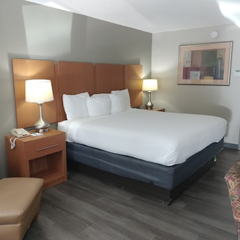 Room, 1 King Bed, Non Smoking