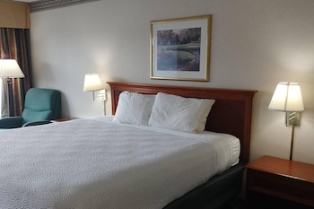 Room, 1 King Bed, Non Smoking