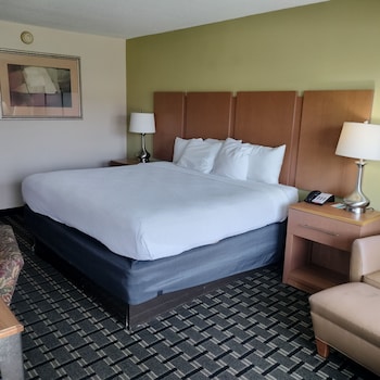 Room, 1 King Bed, Non Smoking