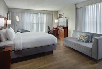 Room, 1 King Bed with Sofa bed