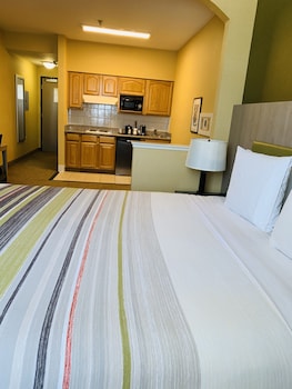 Studio Suite, 1 King Bed, Non Smoking