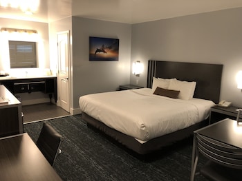 Room, 1 King Bed