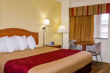 Standard Room, 1 King Bed, Smoking