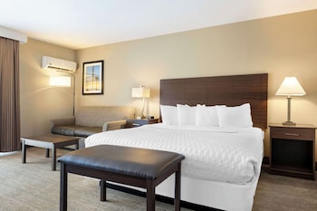 Standard Room, 1 King Bed, Non Smoking, Refrigerator & Microwave (Larger Room)