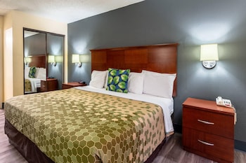 Standard Room, 1 King Bed, Non Smoking