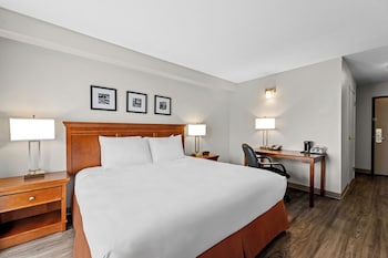 Room, 1 King Bed, Non Smoking