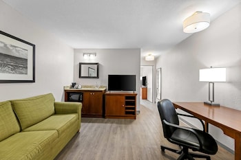 Deluxe Suite, 1 Bedroom, Non Smoking (1 King Bed)