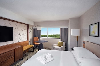 Room, 1 King Bed