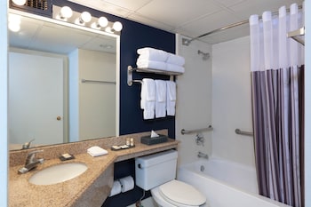 Room, 1 King Bed, Accessible, Non Smoking (Mobility, Roll-In Shower)