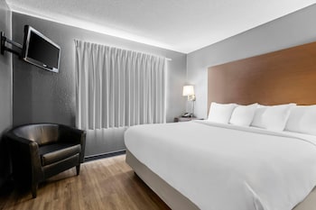 Honeymoon Suite, 1 King Bed with Sofa bed, Non Smoking