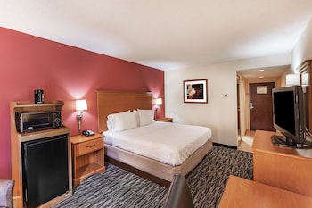 Room, 1 King Bed, Non Smoking