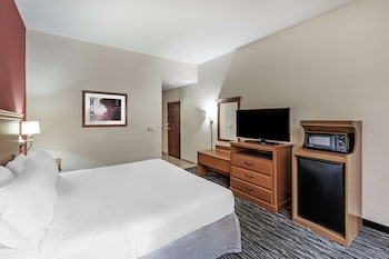 Room, 1 King Bed, Accessible, Non Smoking