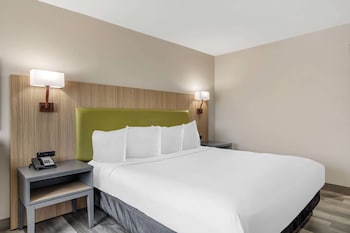 Room, 1 King Bed, Non Smoking