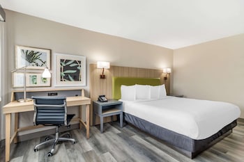 Room, 1 King Bed, Accessible, Non Smoking