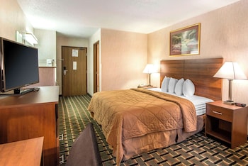 Standard Room, 1 King Bed, Non Smoking
