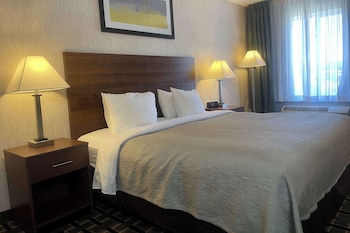 Standard Room, 1 King Bed, Non Smoking