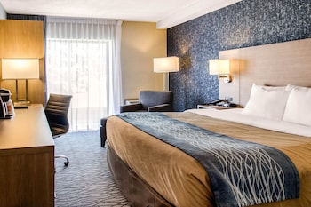 Room, 1 King Bed, Non Smoking (Ground Floor)