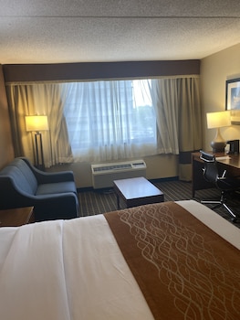 Standard Room, 1 King Bed, Non Smoking