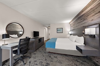 Standard Room, 1 King Bed, Accessible, Refrigerator & Microwave
