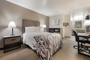 Deluxe Room, 1 Double Bed, Accessible, Non Smoking (Renovated)