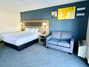 Standard Room, 1 King Bed, Non Smoking (No Pets Allowed)