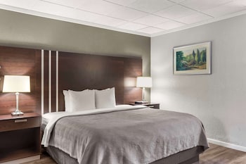 Standard Room, 1 King Bed, Non Smoking (No Pets)