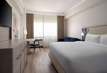 Luxury Room, Multiple Beds