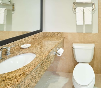 Room, Accessible, City View (Roll-in Shower)