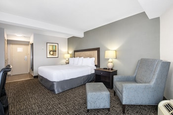 Business Room, 1 King Bed, Non Smoking