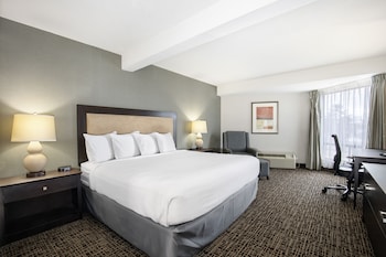 Business Room, 1 King Bed, Non Smoking