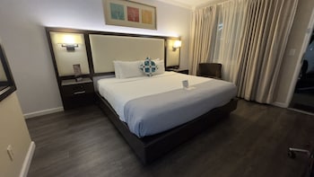 Deluxe Room, 1 King Bed, Bathtub (Non Smoking 1 King Room)
