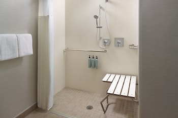 Room, 1 King Bed with Sofa bed (Mobility Accessible, Roll-in Shower)
