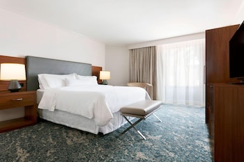 Room, 1 King Bed (Mobility Accessible, Roll-In Shower)