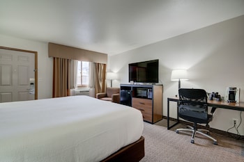 Standard Room, 1 King Bed, Non Smoking, Mountain View