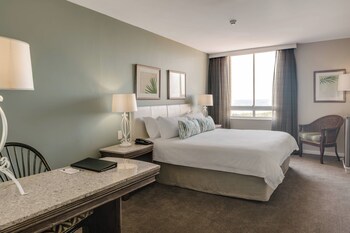 Room, 1 King Bed